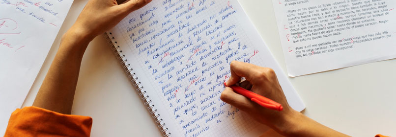 Proofreading Service Visual